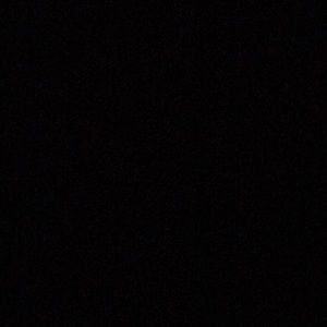 Meet your Posher, Birdie